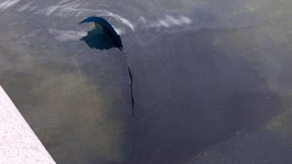 Bild: Gent Shkullaku/ZUMA Press Wire/dpa
Im Reflecting Pool löst sich Farbe.