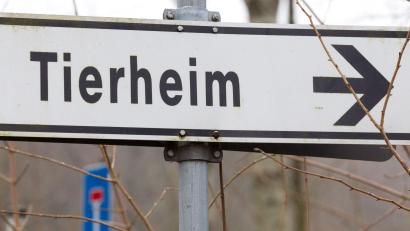 Bild: Friso Gentsch/dpa
Der 43-Jährige gab an, das Tier in einem Ort in der Region gefunden zu haben. (Symbolbild)