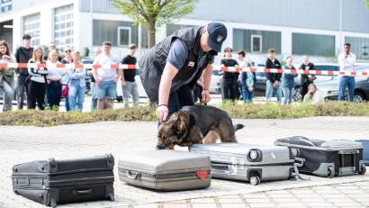 Bild: Hauptzollamt Regensburg
Ein Drogenspürhund im Einsatz bei der Zollhundevorführung.