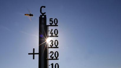 Bild: Thomas Warnack/dpa
Die Temperaturen können bei bis zu 39 Grad liegen.