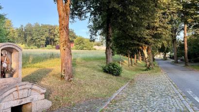 Bild: Gabi Schönberger
N52 nennt sich die Wiese oberhalb der Felixallee im Flächennutzungsplan. Mit 11 gegen 10 Stimmen beschloss der Stadtrat, sie als Wohnbaufläche vorzusehen.