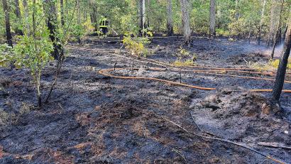 Bild: Masching
In einem Waldstück beim Dießfurter Weiher hat es am Mittwochmorgen gebrannt. Dem schnellen Eingreifen der Einsatzkräfte war es zu verdanken, dass sich das Feuer nicht noch weiter ausgebreitet hat.
