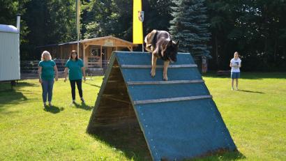 Bild: Thorsten Schreiber
Brigitte Aronhime (links), Vorsitzende des Schäferhundevereins Tirschenreuth, schickt ihren knapp sechs Jahre alten Schäferhund-Rüden "Boston vom Haus Gleißner" über ein Hindernis. Zuchtwartin Bettina Kreuzer (Zweite von links) verfolgt das Geschehen auf dem Übungsplatz an der Annastraße. Im Hintergrund das neue Vereinsheim, das kürzlich eingeweiht wurde.