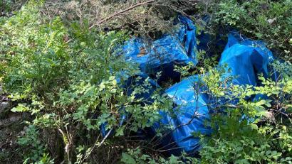 Bild: PI Burglengenfeld
Die Polizei hat hochwertiges Diebesgut in einem Wald gefunden.