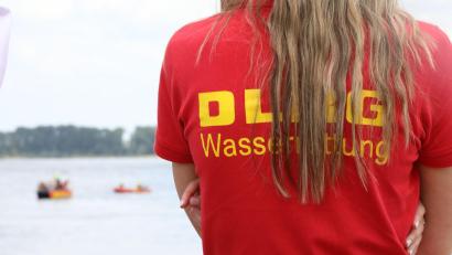 Bild: Sascha Thelen/dpa
Hundebesitzer sollen ihre Tiere strikt vom Wasser weg halten. (Symbolbild)