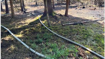 Bild: Kreisbrandinspektion Amberg-Sulzbach
Mehrere Glutnester im moorigen Waldboden mussten am Samstag abgelöscht werden.