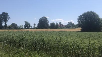 Bild: Werner Robl
Der Neubau eines Wohnhauses soll auf einer dieser Flächen im Westen der Marktgemeinde Wiesau im Rahmen des Bauturbos verwirklicht werden.