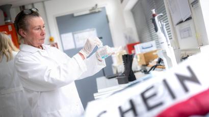 Bild: Sina Schuldt/dpa
Die Deutsche Umwelthilfe hat Kleidung von Shein beim Bremer Umweltinstitut testen lassen.