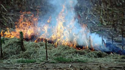 Archivbild: Jürgen Masching
Ein Waldbrand kann schnell dazu führen, dass überörtliche Hilfe erforderlich ist. Dafür gibt es im Landkreis Feuerwehren, die Sonderfahrzeuge für den landkreisweiten Einsatz haben. Zum Beispiel die Feuerwehr Auerbach, deren 35 Jahre altes Tanklöschfahrzeug jetzt durch ein TLF 3000 ersetzt werden muss.