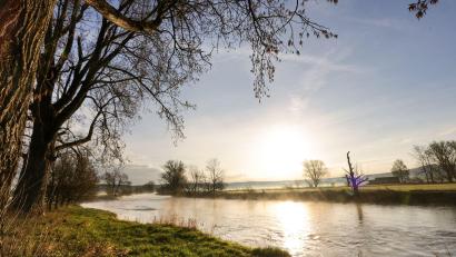 Bild: Thomas Warnack/dpa
Der Dresdner Extremschwimmer Joseph Heß will die Donau von Ulm bis zur Mündung durchschwimmen. (Symbolbild)