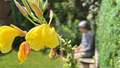Symbolbild: Gabi Schönberger
Den Garten genießen, vor der nächsten Hitzewelle.