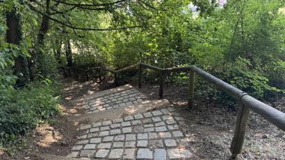 Bild: Heike Unger
Viele Wege führen auf den Berg. Der Stufenweg ist mit seinen Treppenstufen ein kleines Workout. Wer braucht da noch den "Stairmaster" im Fitnessstudio?