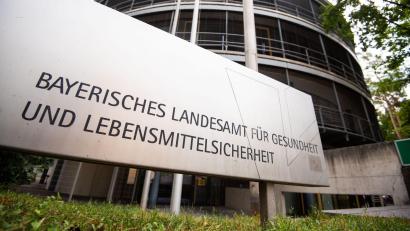 Bild: Nicolas Armer/dpa
Das Landesamt für Gesundheit und Lebensmittelsicherheit warnt vor dem Kontakt mit Spitzmäusen. (Symbolbild)