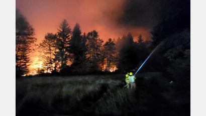 Bild: Wolfgang Gasser/Kreisfeuerwehrverband Traunstein/dpa
Nach dem Waldbrand im Bereich der Gemeinde Übersee am Chiemsee verlangt die Feuerwehr eine bessere Ausrüstung. (Archivbild)