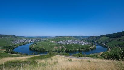 Bild: Harald Tittel/dpa
Vorerst ist der Himmel strahlend blau über der Mosel und den angrenzenden Weinbergen bei Trittenheim in Rheinland-Pfalz.
