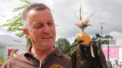 Bild: Konrad Rosner
Eckhard Mickisch mit seinem Gerfalken, namens Karin.