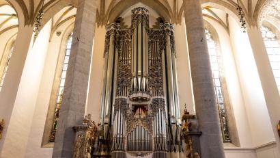 Bild: Lennart Preiss/dpa
Im Eichstätter Dom wurde die Neuigkeit verkündet. (Archivbild)