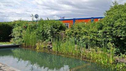 Bild: Hans Prem
Die Idylle im Garten ihres Anwesens im Lindenweg ist durch die unmittelbar angrenzenden Container des Baulagers für den Süd-Ost-Link getrübt. Eine Anwohnerin fühlt sich durch den Partylärm und die Nähe der Container, die auch Sicht auf ihr Grundstück bieten, gestört und beschwerte sich deshalb bei der Gemeinde.