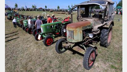 Bild: Karl-Josef Hildenbrand/dpa
Ein Oldtimer-Traktor schöner als der andere.