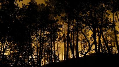 Bild: Geoffroy Van Der Hasselt/AFP/dpa
Die Feuerwehr kämpft mit rund 400 Kräften und Löschflugzeugen gegen den Brand im Wald von Fontainebleau.