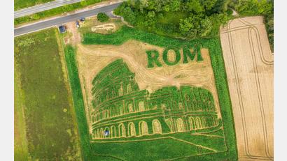 Bild: Peter Kneffel/dpa
Das traditionelle Uttinger Feld-Labyrinth zeigt dieses Jahr das Kolosseum in Rom.