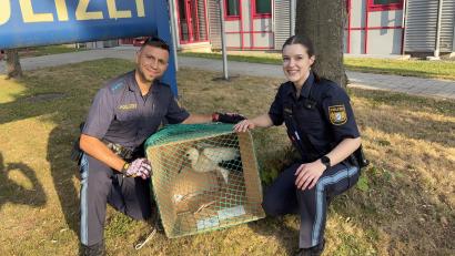 Bild: PI Vohenstrauß
Die Streifenbesatzung der PI Vohenstrauß (PHM Strehl und PMAnwin Lena Zwick) mit dem geretteten Jungstorch vor dem Transport in die Vogelauffangstation Regenstauf.