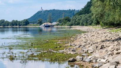 Bild: Armin Weigel/dpa
Regenmangel macht sich am Donauufer bemerkbar.