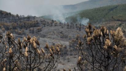 Bild: Mateo Lanzuela/EUROPA PRESS/dpa
Das Feuer in der Region von Guadalajara nordöstlich von Madrid hat bereits 13.000 Hektar Wald- und Buschland vernichtet.