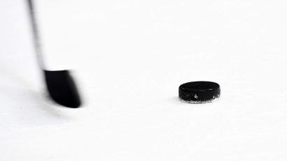 Bild: Tobias Hase/dpa
Die Straubing Tigers legen in der Offensive nach. (Symbolbild)