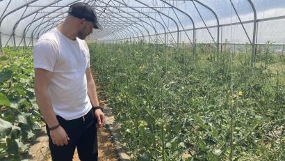 Bild: Stefanie Swann
Hier zeigt David Kugler das Gemüse, das angebaut wird. Unter anderem Gurken, Tomaten, Blattsalate.