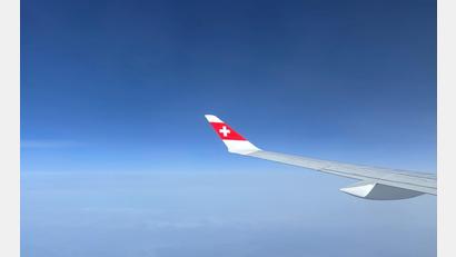 Bild: Christiane Oelrich/dpa
Die Swiss-Piloten sind vom Dienst suspendiert (Symbolbild)