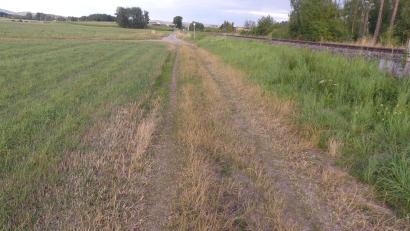 Bild: Walther Hermann
Der Au-Weg entlang der Bahnlinie geht nach einer Teilstrecke in einen Wiesenweg über. Dieser soll nun ebenfalls befestigt werden.