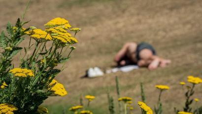 Symbolbild: Andreas Arnold/dpa
Das Wochenende wird sommerlich warm in der Oberpfalz. Nur am Sonntag könnte es zu leichten Regenschauern kommen.