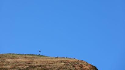 Bild: Karl-Josef Hildenbrand/dpa
Die Frau wollte mit ihrem Mann ursprünglich zum Fellhorn wandern. (Archivbild)