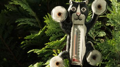 Symbolbild: Stefan Jaitner/dpa
Da wird doch jede Katze verrückt – auch die mit dem Thermometer. Kurz vor der nächsten Hitzewelle des Sommers fielen die Temperaturen in der Oberpfalz fast bis zum Gefrierpunkt.