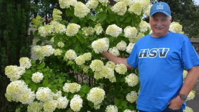 Bild: Josef Rosner
Stadtgärtner Willi Kilian geht zum 1. September nach 47 Berufsjahren in den Ruhestand, hier mit einer seiner Lieblingsblume, der Rispenhortensie.
