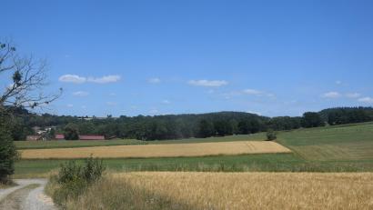 Bild: Ernst Frischholz
Die ersten Häuser von Edeldorf sind auf der linken Bildseite zu sehen. Die geplante Solaranlage soll auf dem Hang rechts entstehen.