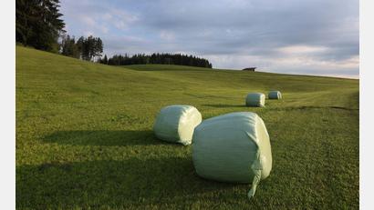 Bild: Karl-Josef Hildenbrand/dpa
Mit sommerlichen Temperaturen in Bayern geht es ins Wochenende.