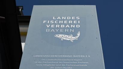 Bild: Florian Diettrich/dpa
Der Präsident des Landes Fischereiverbands Bayern ist zurückgetreten.