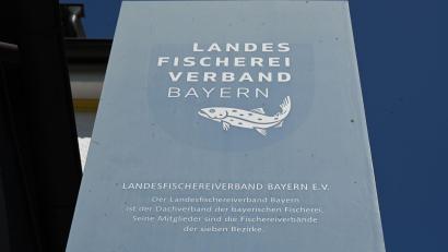 Bild: Florian Diettrich/dpa
Die Präsidenten der Bezirksverbände des Landesfischereiverbandes wollen den amtierenden Präsidenten abberufen.