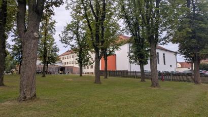 Bild: Paul Zrenner
Der Blick von der Bushaltestelle in der Lämmerstraße auf die Markgraf-Diepold-Grundschule über den Pausenhof mit den Kastanienbäumen. Links das "Diepoldeum", wie die Aula genannt wird.