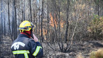 Bild: Katharina Kausche/dpa
Die Feuerwehr kämpft gegen eine Reihe wiederaufflammender Brände.