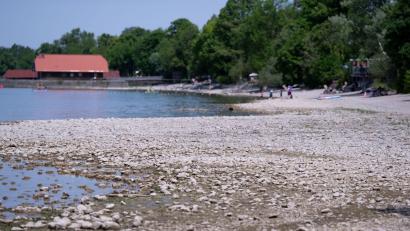 Bild: Sven Hoppe/dpa
Der Klimawandel beziehungsweise seine Folgen sind in Bayern längst vielerorts erkennbar. Fehlende Niederschläge, Hitzeperioden und starke Unwetter sind ein immer häufigeres Phänomen im Freistaat. (Illustration)