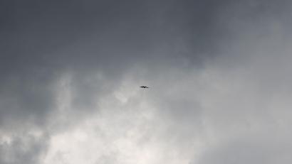 Bild: Rolf Vennenbernd/dpa
Der Südosten Brasiliens wurde vom Windsturm stark betroffen. (Symbolbild)
