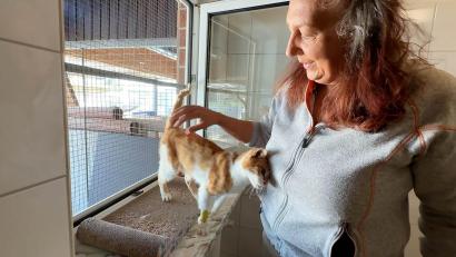 Bild: Gabi Schönberger
Schwer vermittelbaren Tieren schenkt Tierheimleiterin Daniela Riedl besondere Aufmerksamkeit. Der circa 13 Jahre alte rot-weiß gestreifte Kater Milan genießt es. Im Frühjahr war er in desolatem Zustand bei Kemnath gefunden worden.