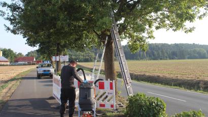 Bild: Jennifer Battaglia
Nach getaner Arbeit: Ulli Seitz säubert den Filter des Spezialstaubsaugers, mit dem er zuvor die Gespinste abgesaugt hatte. Seine Schutzmontur hat er inzwischen ausgezogen.