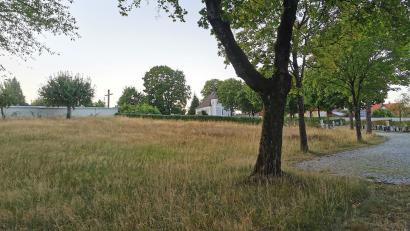Bild: Gertraud Portner
Der Stadtrat Oberviechtach spricht sich mehrheitlich dagegen aus, die Wiese im Friedhof mit Baumpflanzungen als "Park der Erinnerung" aufzuwerten. Der neue Friedhofsteil (im Hintergrund rechts) soll aber noch naturnaher werden.