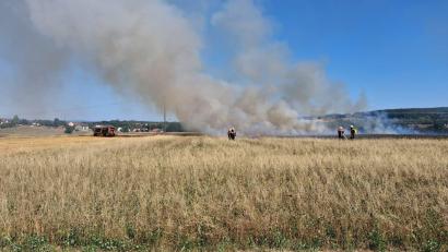 Bild: KBM Michael Werner
Vegetationsbrände im Landkreis Amberg-Sulzbach sorgen wie h9ier in Schnaittenbach für einen Dauereinsatz der Feuerwehren.