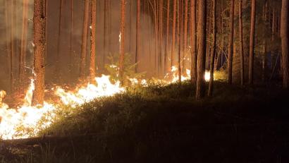 Bild: PI Neustadt a.d.Waldnaab, POM`in Bäumler
Zwei Waldbrände haben im Manteler Forst einen Großeinsatz ausgelöst.