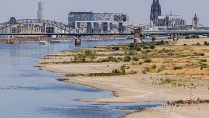 Bild: Rolf Vennenbernd/dpa
Blick auf Köln mit Sandbänken am Rhein.